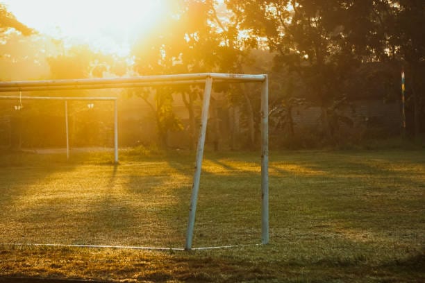 Top 5 Goals of the Week