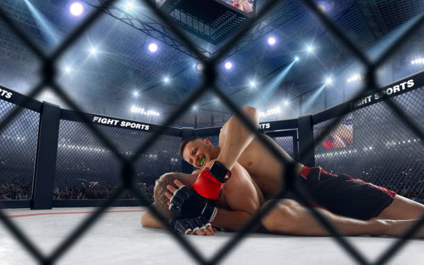 Top Moments from UFC Fight Night