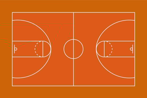 WNBA Season Highlights So Far